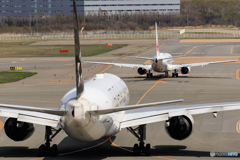 ５月の新千歳空港