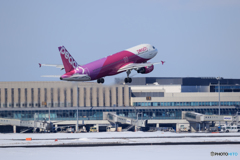 peach TakeOff