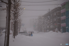 今日も雪