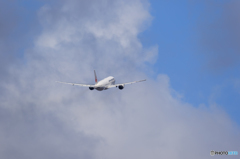 JAL 777
