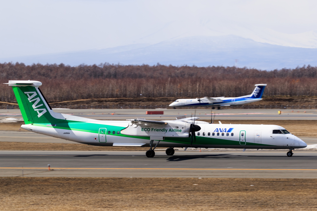 エコボン＆ボンちゃん