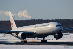 JAL Landing