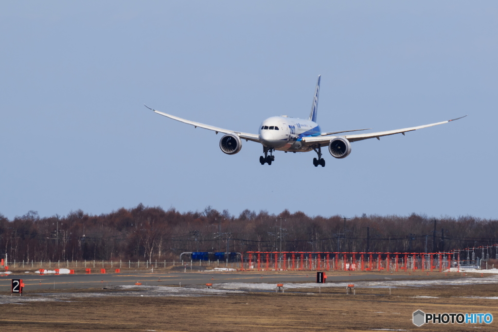 ANA787到着