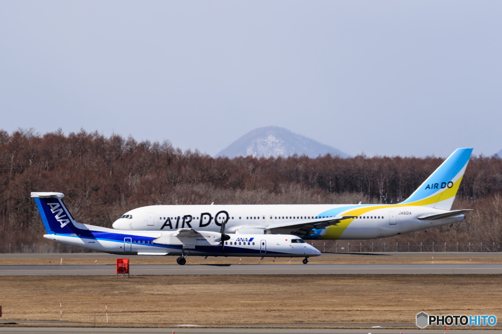 ボンちゃん＆AIR DO