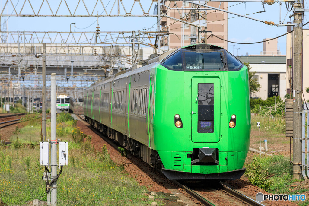ライラック