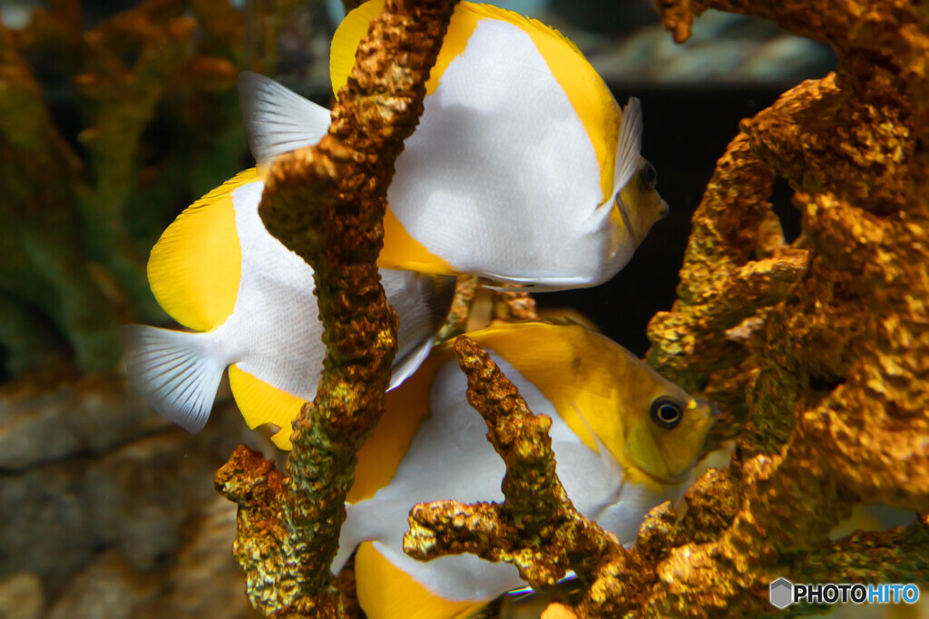 水族館５