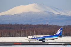 ANAと樽前山