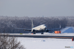 スタアラ Landing