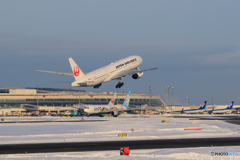 JAL TakeOff