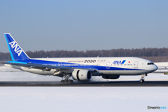 ANA Landing