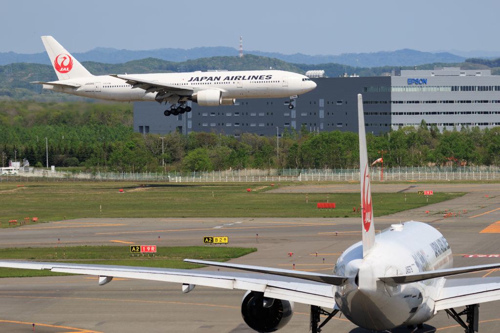 JAL　到着と出発