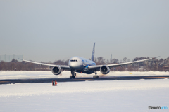 ANA Landing