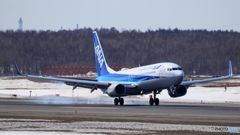 ANA Landing