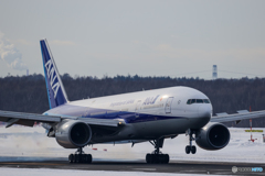 ANA Landing