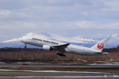 JAL TakeOff