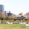 大通公園３