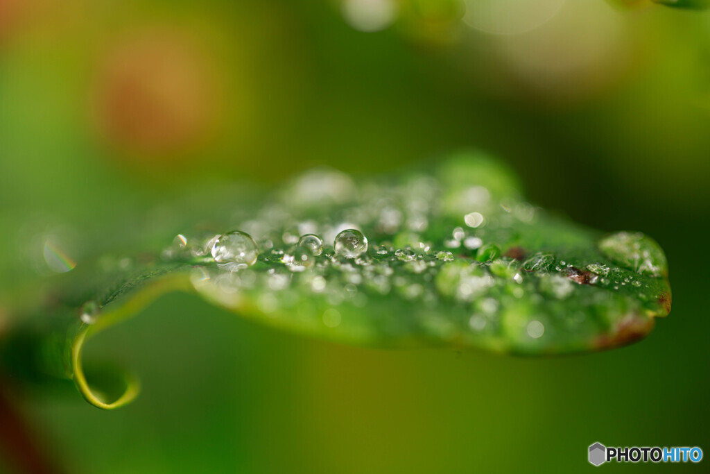 雨上がり