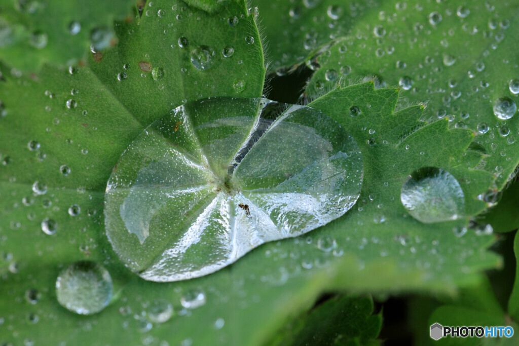 雨上がり