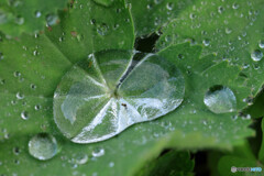 雨上がり