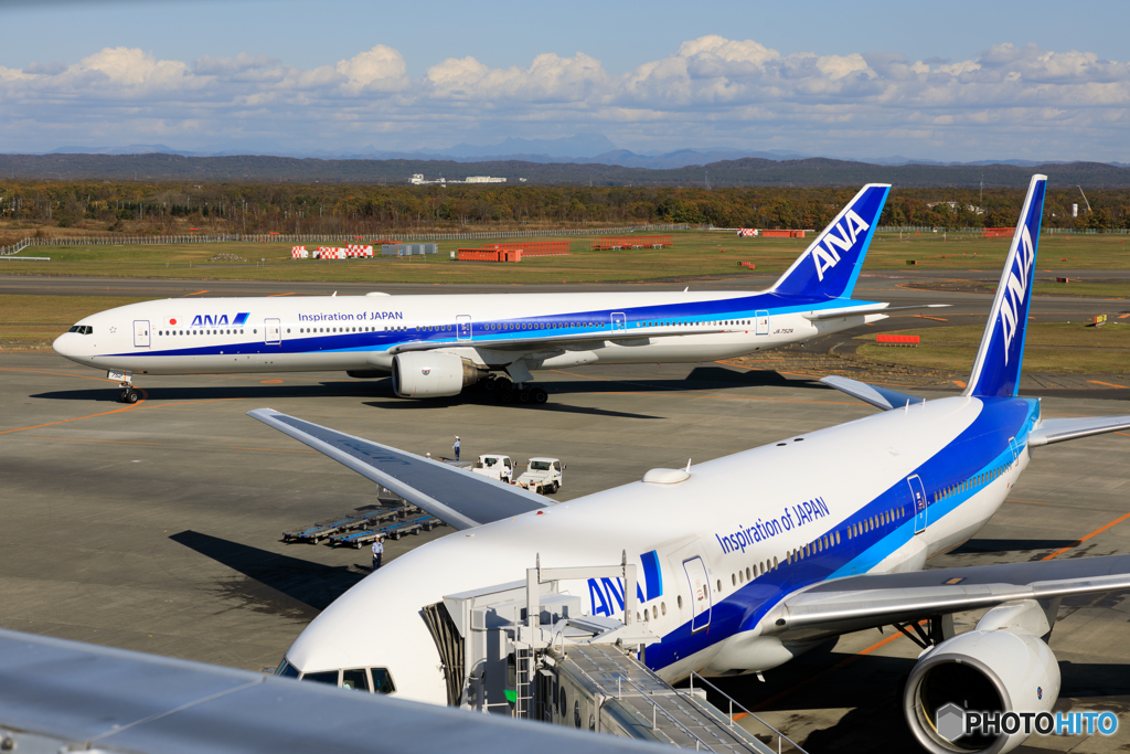 ANAとANA