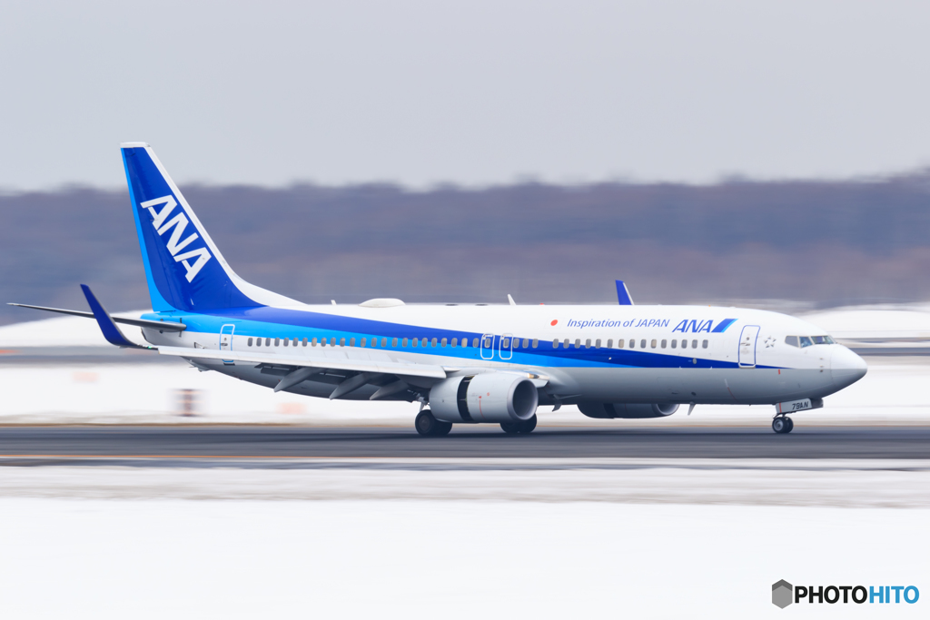 ANA B737