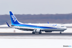 ANA B737