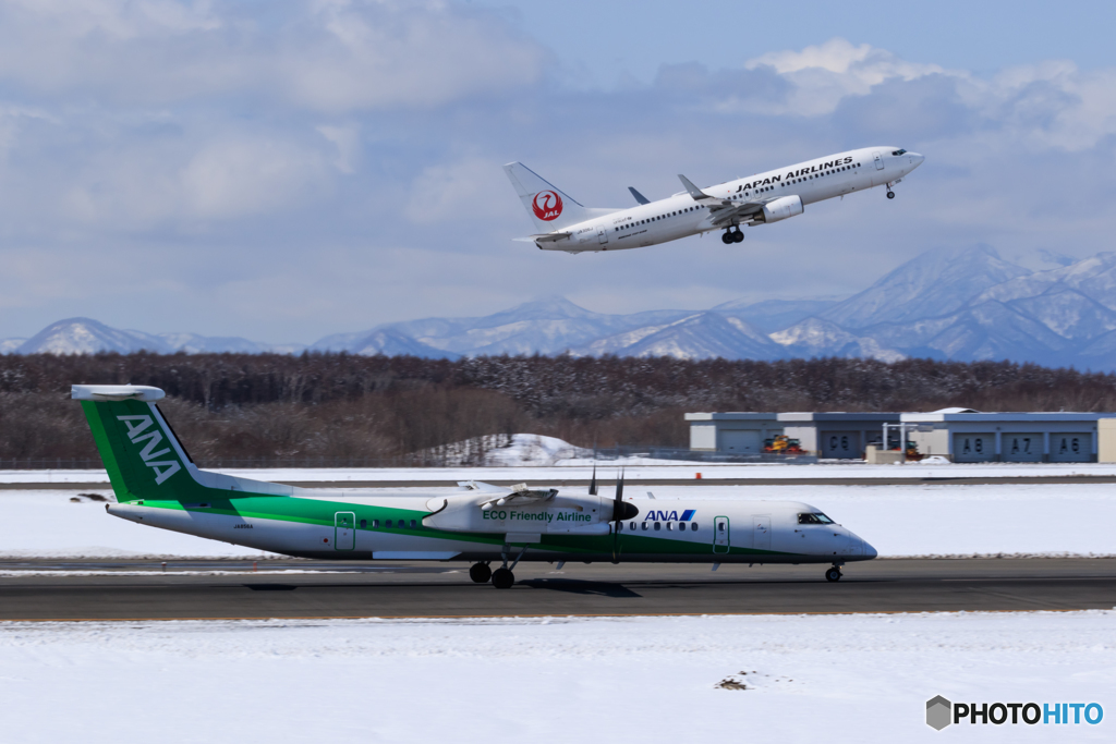 エコボンとJAL