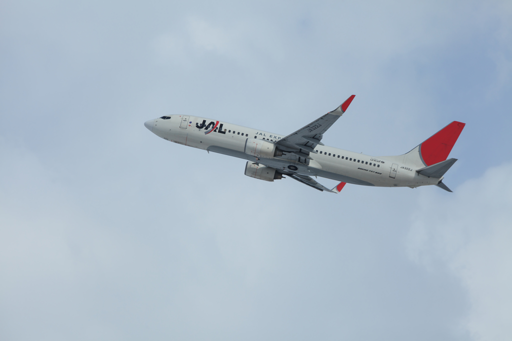 JAL B737
