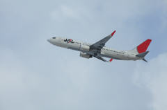 JAL B737
