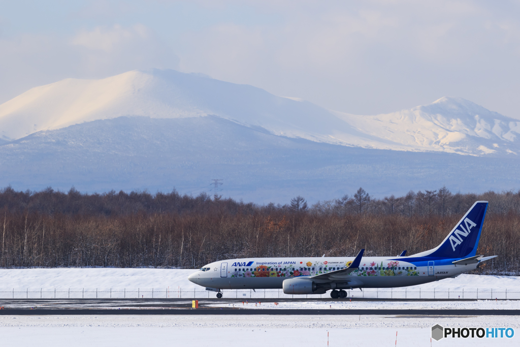 樽前山とフラワージェット