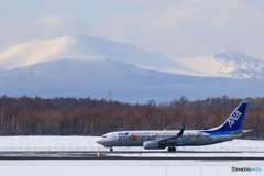 樽前山とフラワージェット