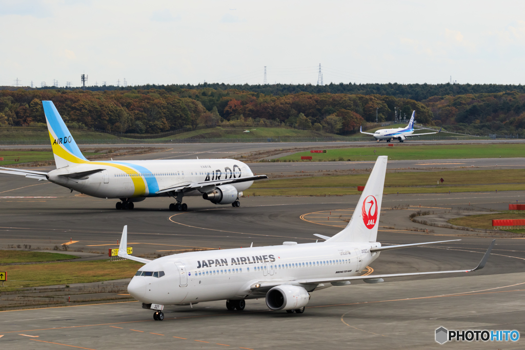 JALとAIR DOとANA