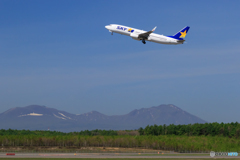 SKYMARK B737