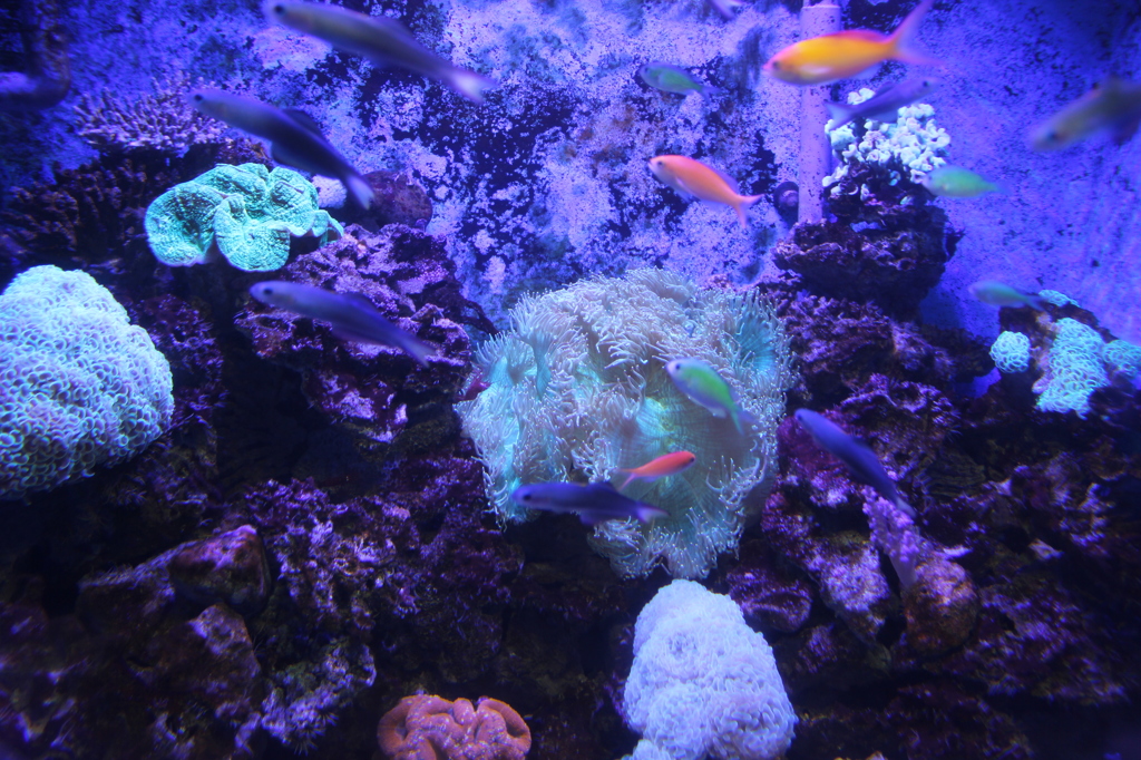 水族館