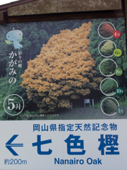 なないろオーク