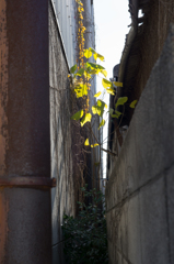 20151217-DSC00271 