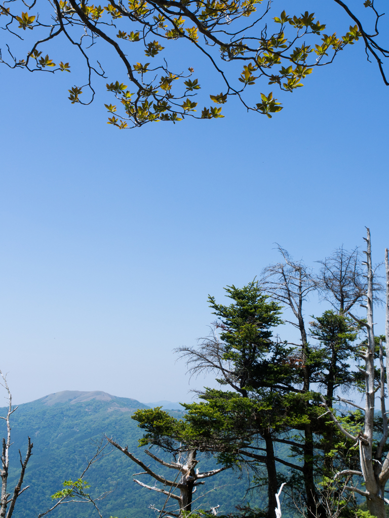 三嶺