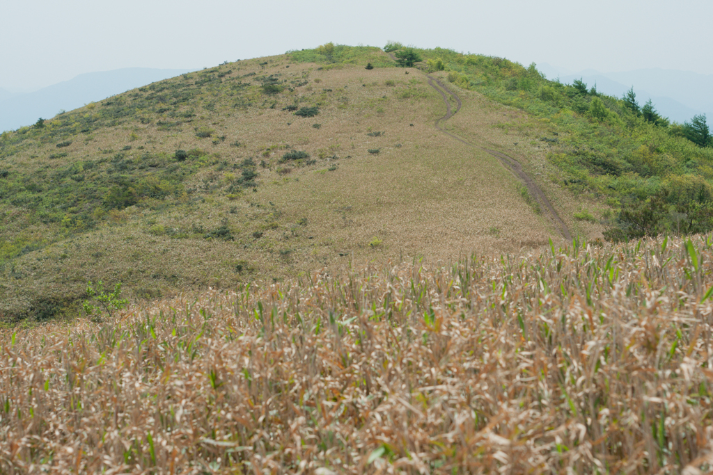 ゆるい山