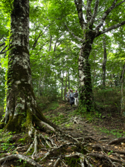 20150614岡山県立森林公園