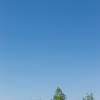初夏4月