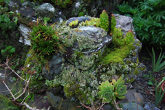 橋本山荘20110827