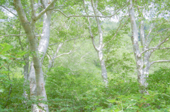 20080801