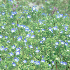 20130323
