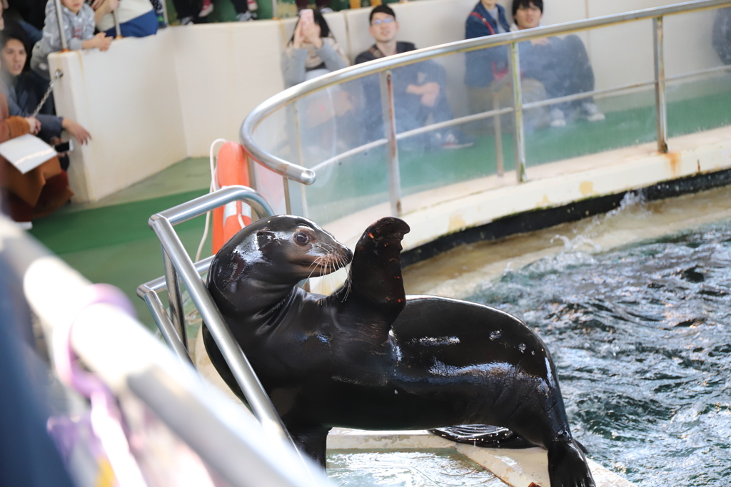 可愛いおめめ