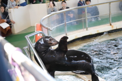 可愛いおめめ