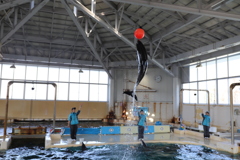 元気いっぱい