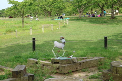 公園の鉄犬