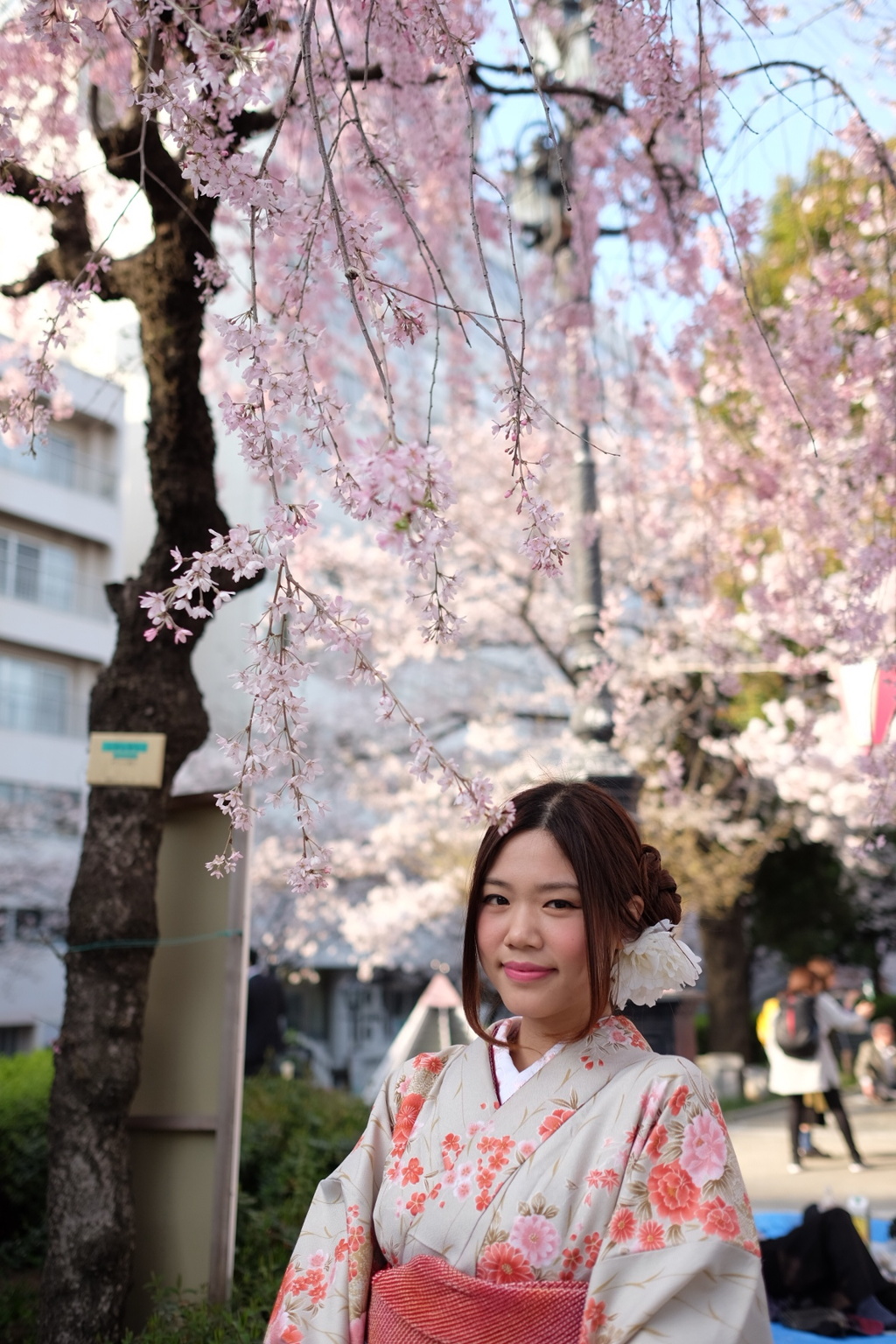 桜