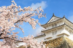 青空とお城と桜と