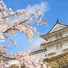 青空とお城と桜と